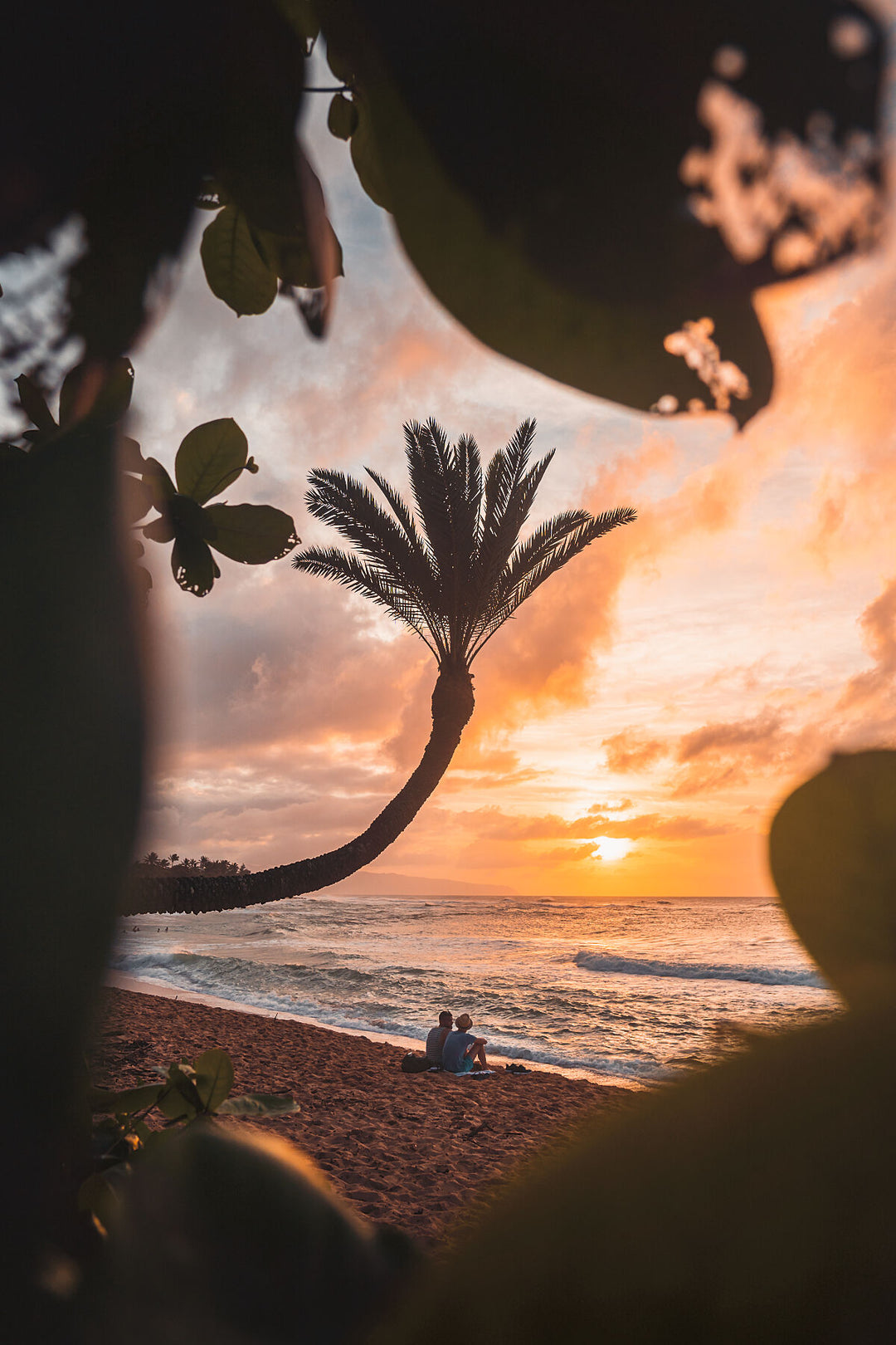 Palm Tree Sunset in Oahu, Hawaii | End of Days by Richard Lam Studio