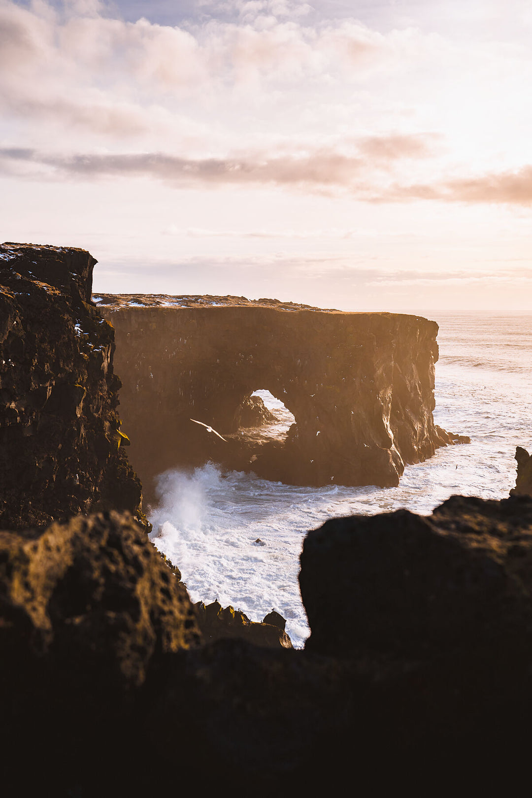 Bird Cliffs in Snæfellsnes, Iceland | Serenity by Richard Lam Studio