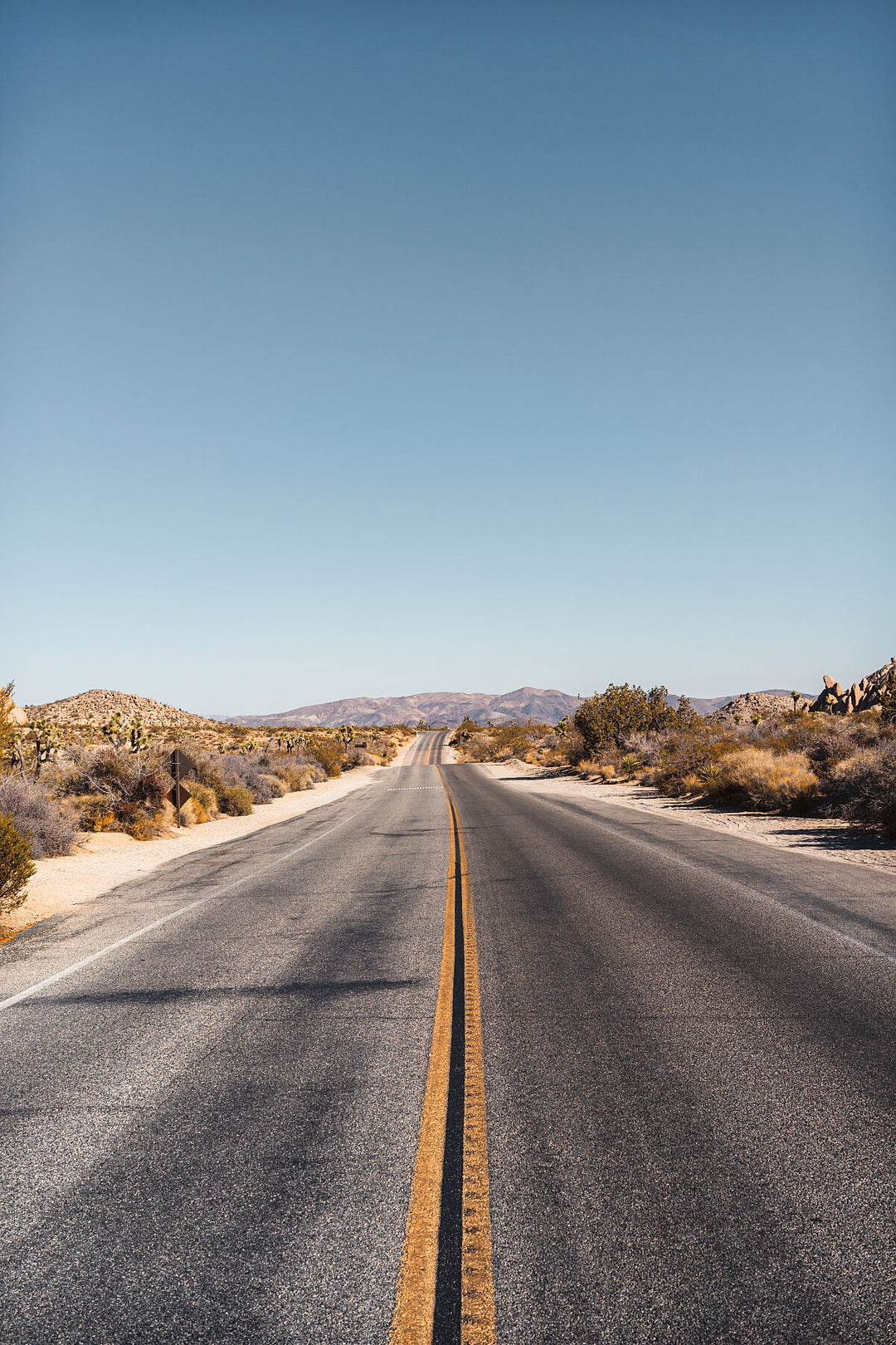 Deserted Road in Joshua Tree, California | The Open Road by Richard Lam Studio