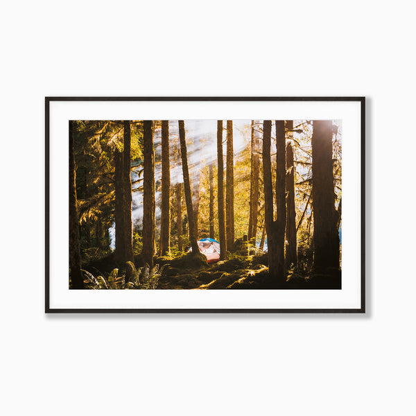 Golden Rays by Richard Lam Studio | Framed Giclee Print of Summer Camping in Forest in Squamish, British Columbia