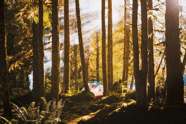 Summer Camping in Forest in Squamish, British Columbia | Golden Rays by Richard Lam Studio