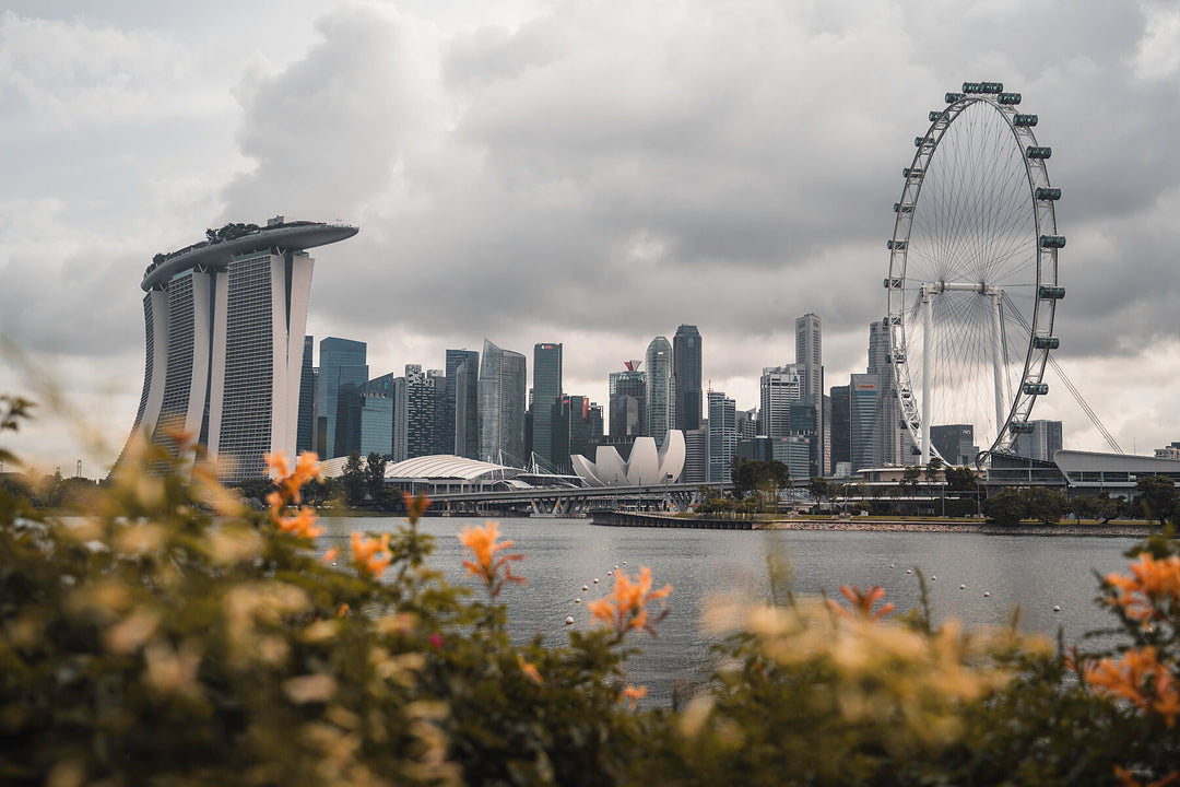 Central Business District in Singapore | Lion City by Richard Lam Studio